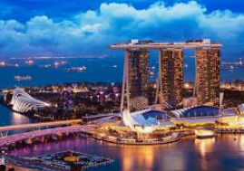 黄金网站app免费正式版